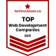 TOP Web Development Companies