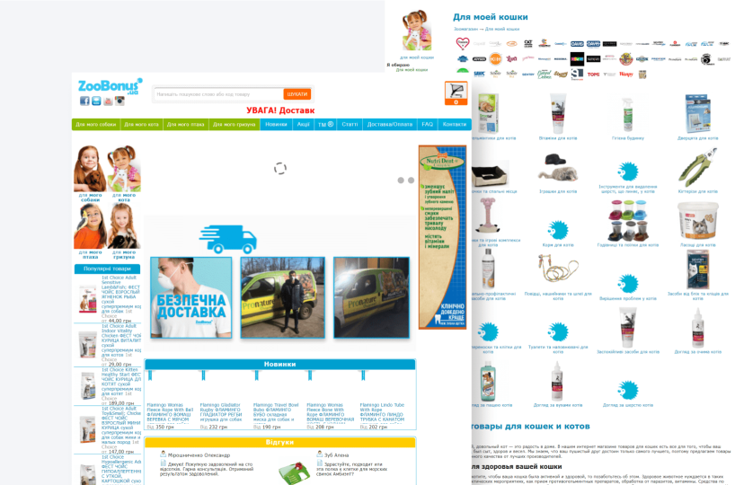 Попередня версія